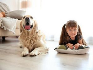 Top 5 Mental Health Benefits of Owning a Dog