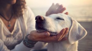 Top 5 Mental Health Benefits of Owning a Dog