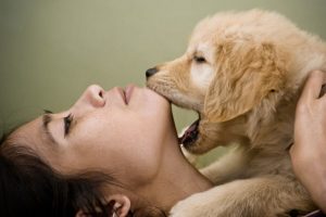 5 Tips For Training Your Puppy Not To Bite