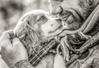 emotional support dog