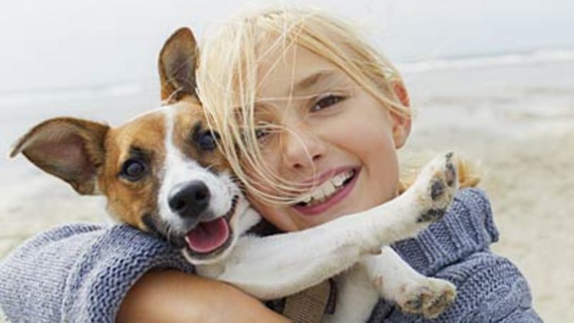 dog health insurance usaa