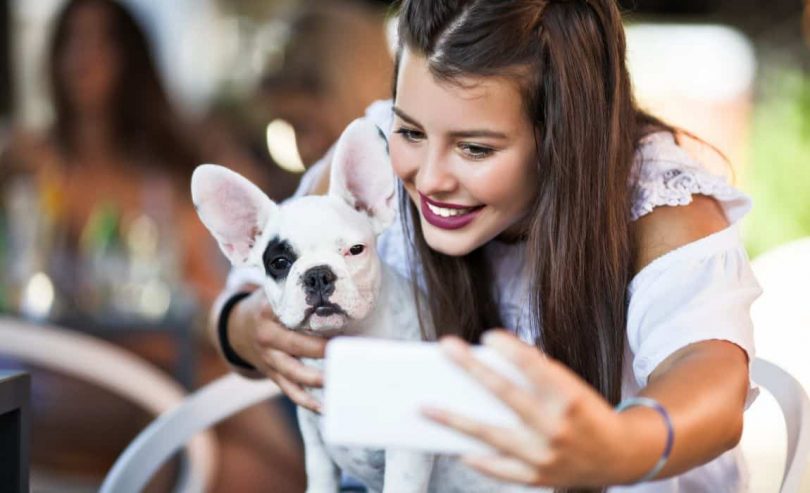 autotrader best cars for dog lovers
