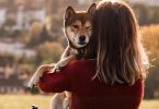 Emotional support animals